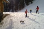 Předvánoční lyžování 2009